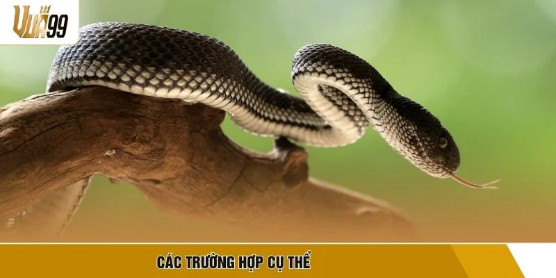Các trường hợp cụ thể